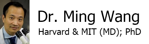 Ming Wang, Harvard & MIT (MD); PhD