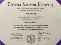 About Dr. Wang