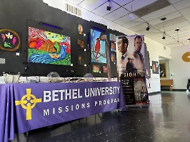 Dr. Wang at Bethel Univeristy